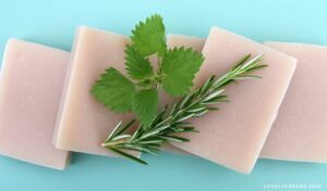 Natural herbal shampoo bars with rosemary sprigs on a blue background